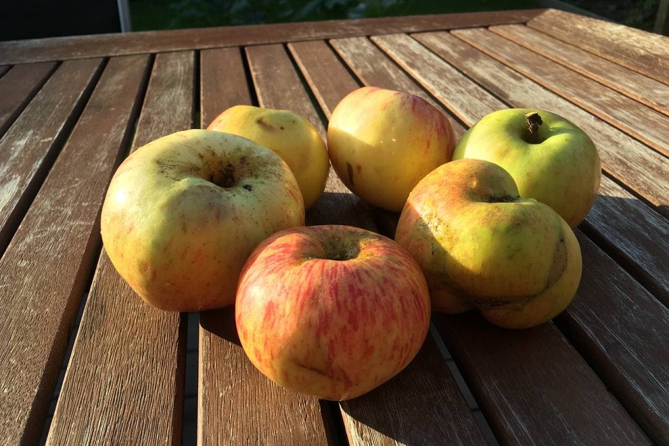 Sechs Äpfel auf einem Holztisch