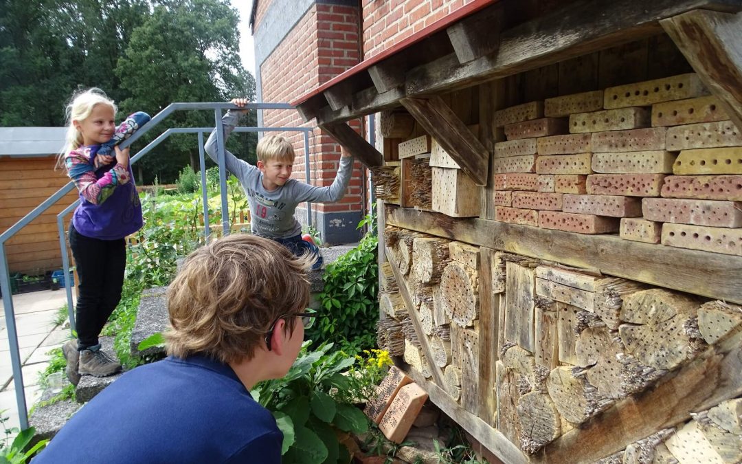 Familien entdecken Wildbienen