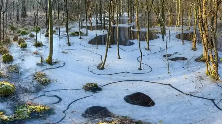 Ein zugefrorener Teich in der Davert, nahe der Davertstraße bei Münster-Amelsbüren