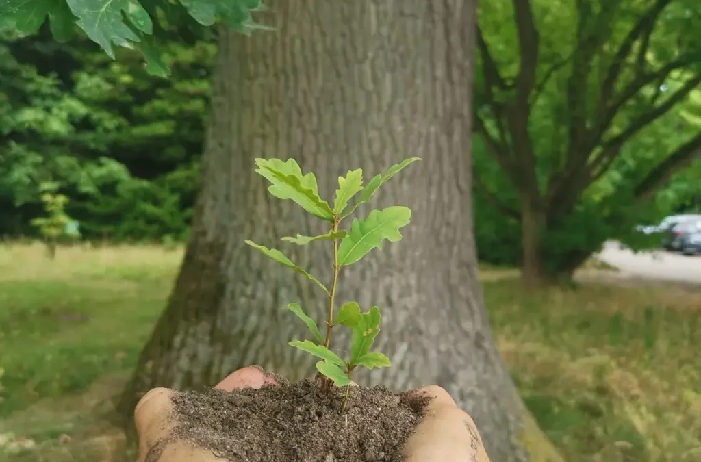 Die Umweltheld*innen – Jung trifft Alt: Begegnungen schaffen, Geschichten säen und Nester bauen